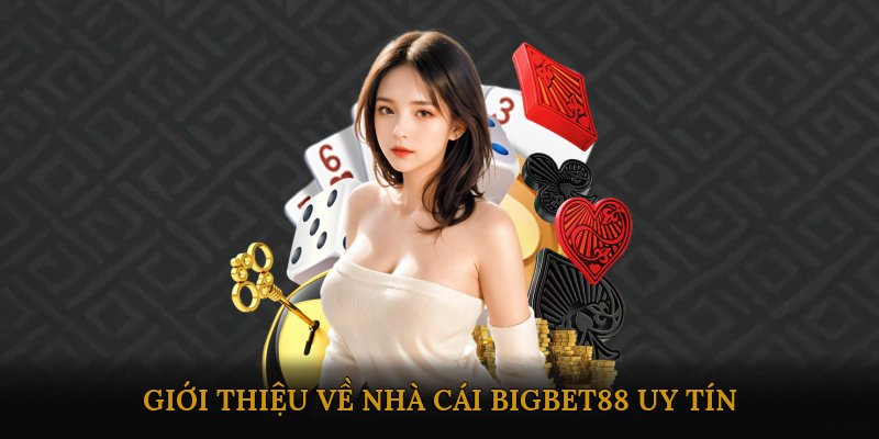 gioi-thieu-ve-nha-cai-bigbet88-uy-tin-1